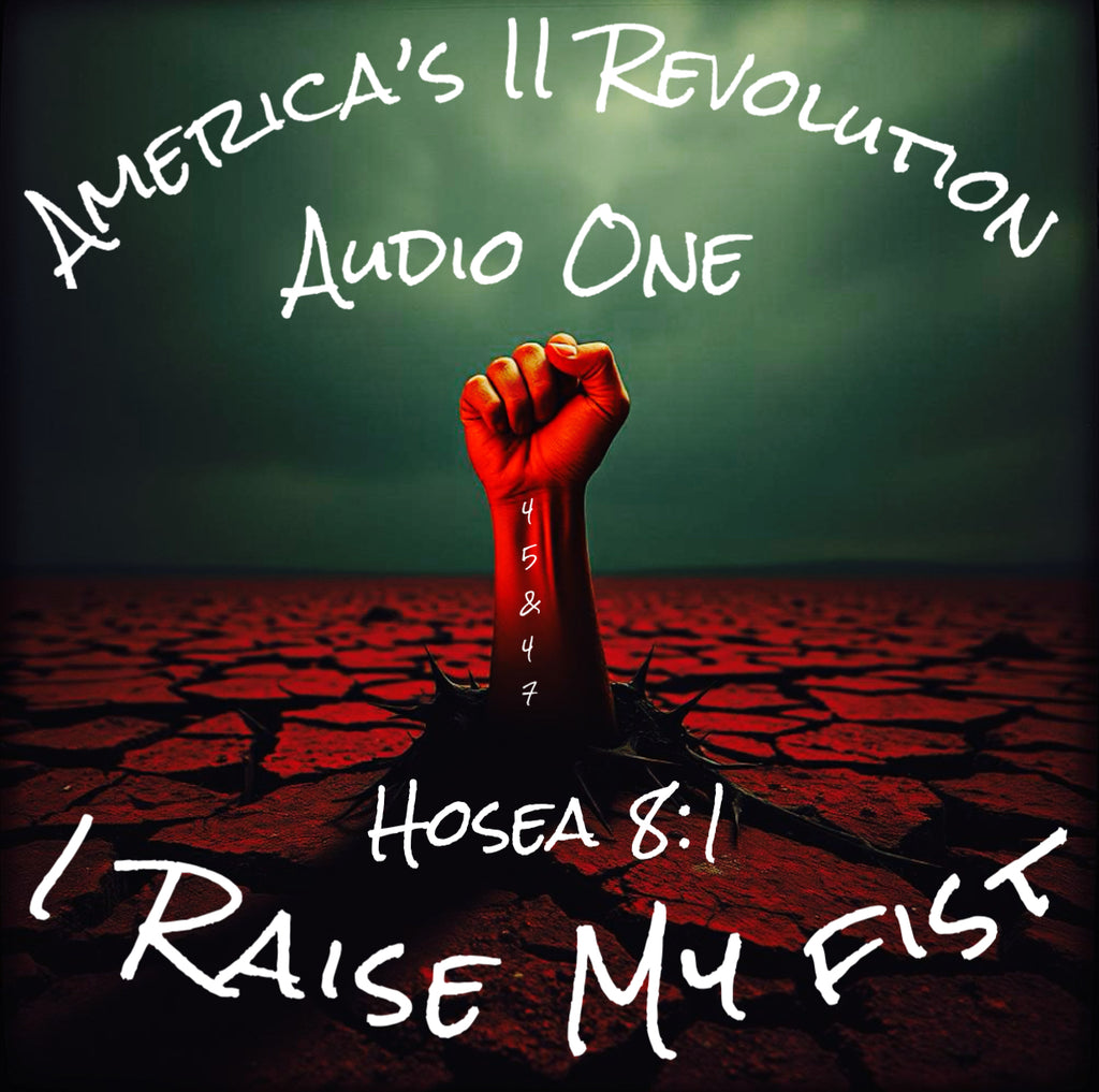 A II R Digital Theme Album (I Raise My Fist)